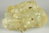 Libyan Desert Glass ( g) - Meteorite Impactite #188444-1